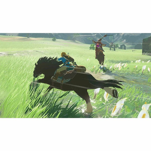 Nintendo Switch - The Legend of Zelda: Breath of the Wild