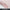 Logitech Signature M650 Wireless Mouse (M - Rose)