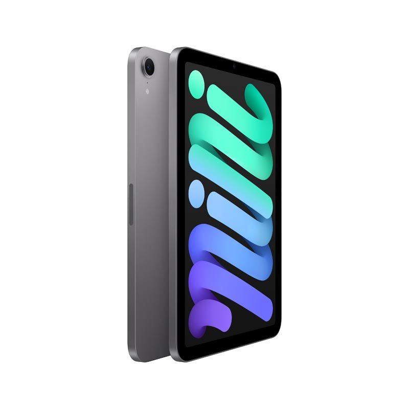 iPad本体 Chaser Dream iPad mini Wi-Fi 128GB - Space Grey [MXN63ZP/A] – Challenger Singapore