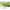 Asus VU279CFE Eye Care Gaming Monitor – 27 FHD IPS 100 Hz (Green)