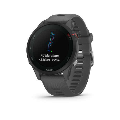 Garmin Forerunner 255 (Slate Grey)