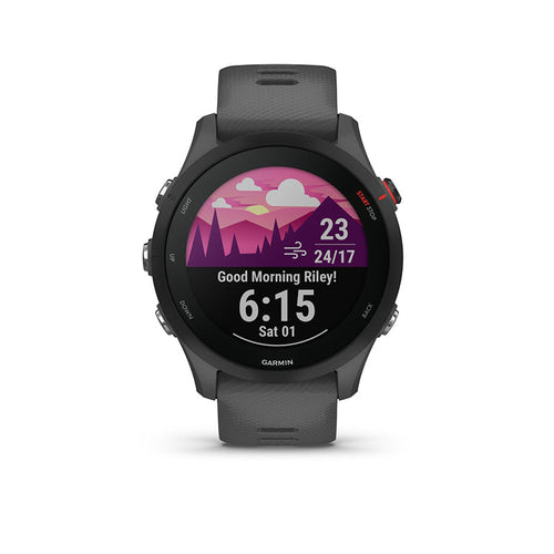 Garmin Forerunner 255 (Slate Grey)