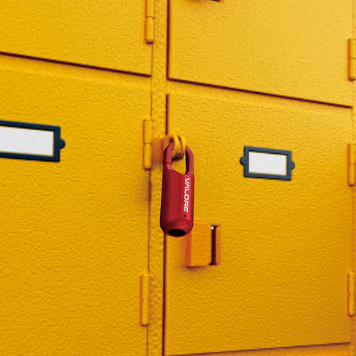 Valore Fingerprint Padlock (AC-226) - Red