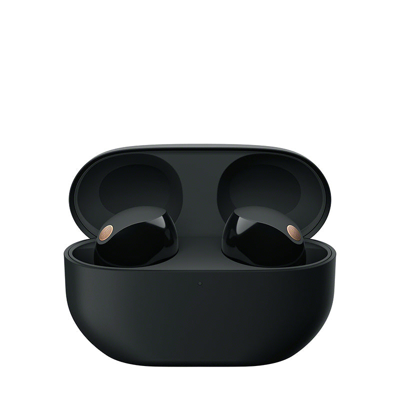 Sony WF-1000XM5 Wireless Noise Cancelling Earphones (Black