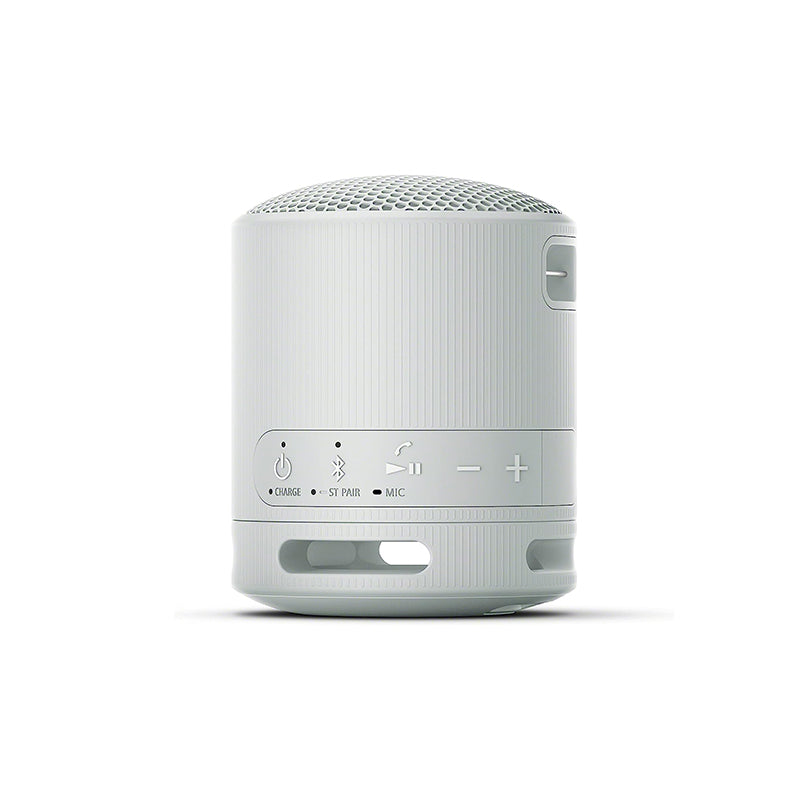 Sony SRS-XB100 Bluetooth Speaker (Gray)