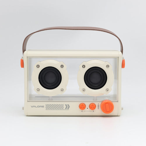 Valore Multicolour Wireless Speaker (SP-003)