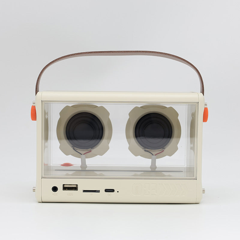 Valore Multicolour Wireless Speaker (SP-003)