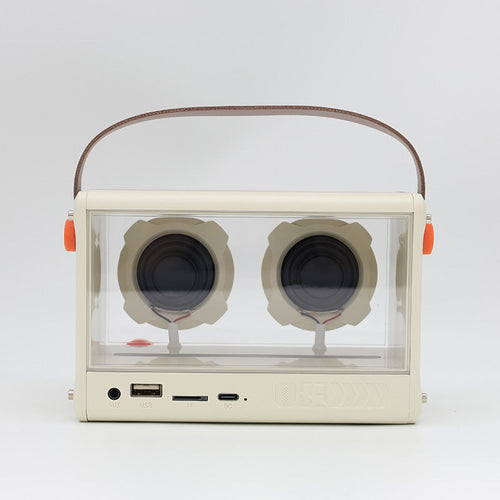 Valore Multicolour Wireless Speaker (SP-003)