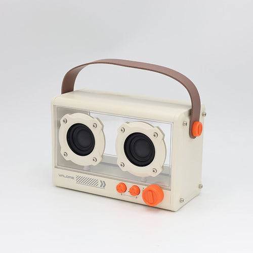 Valore Multicolour Wireless Speaker (SP-003)