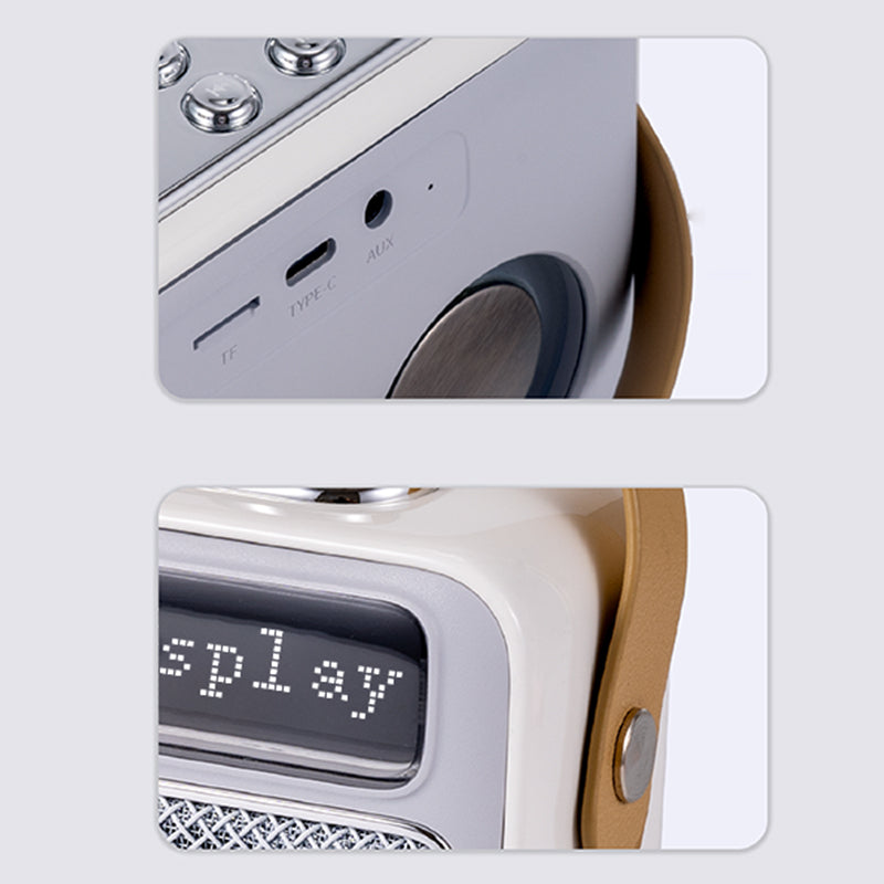 Valore Wireless Speaker with Microphone (SP-006)