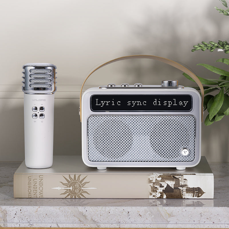 Valore Wireless Speaker with Microphone (SP-006)