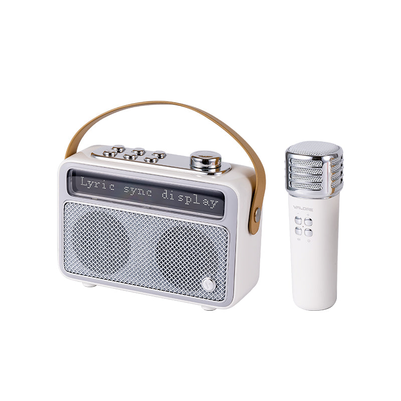 Valore Wireless Speaker with Microphone (SP-006) – Challenger Singapore