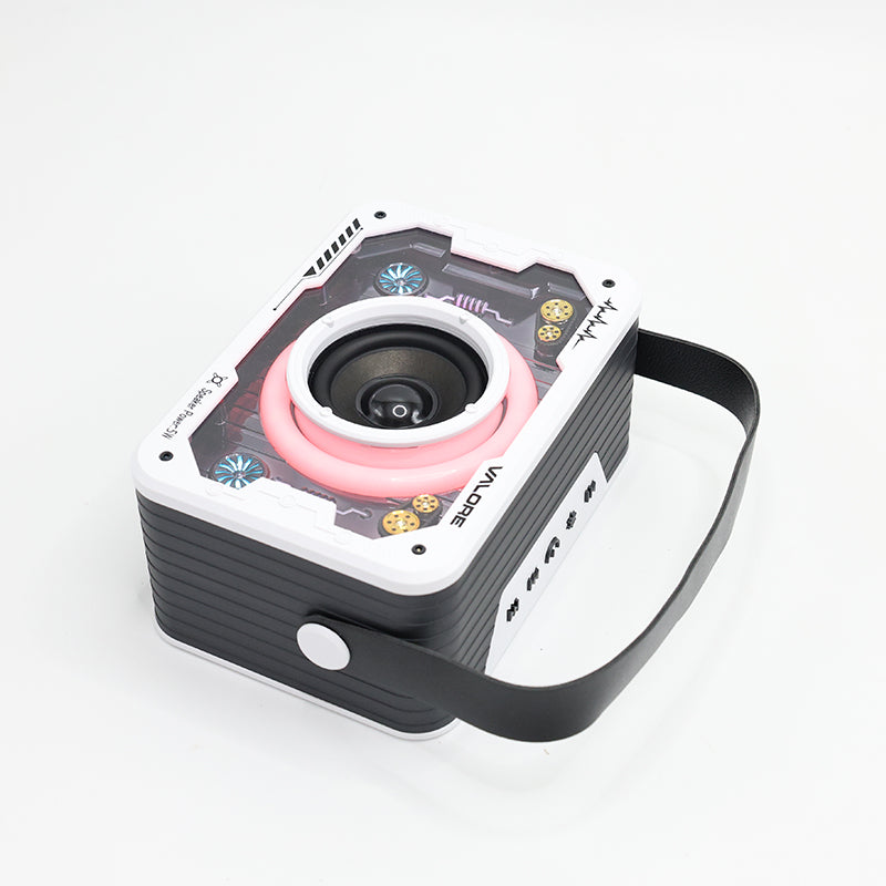 Valore Wireless Speaker (SP-008)