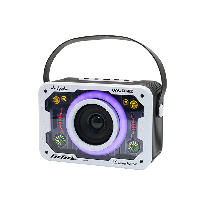 Valore Wireless Speaker (SP-008)