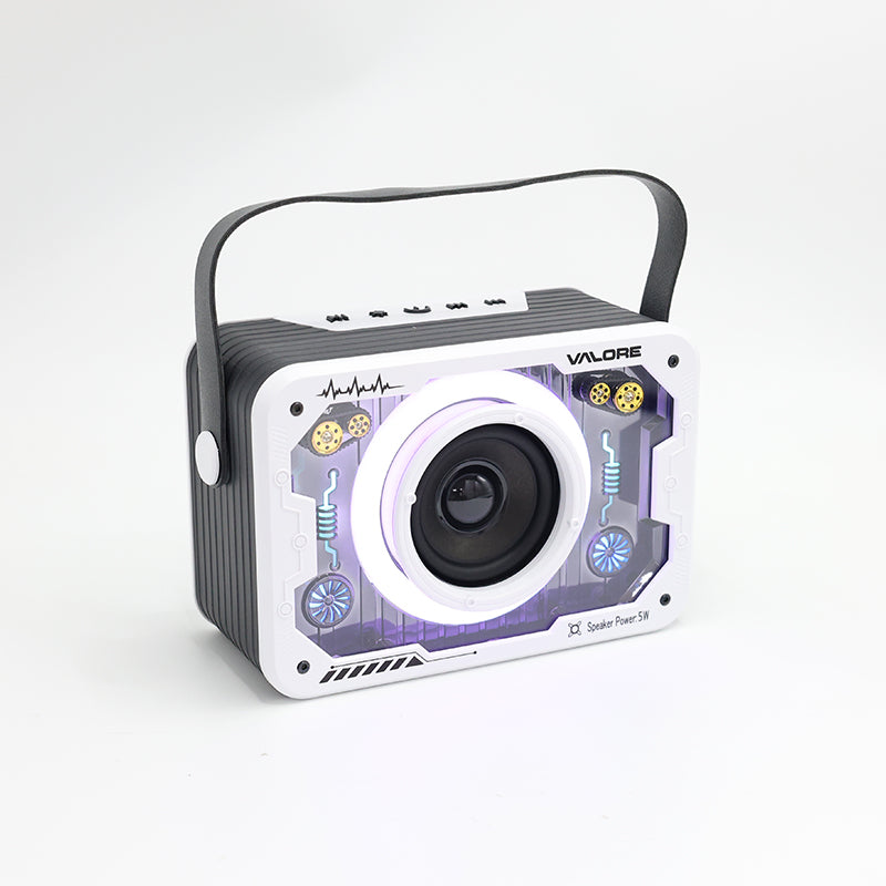 Valore Wireless Speaker (SP-008)