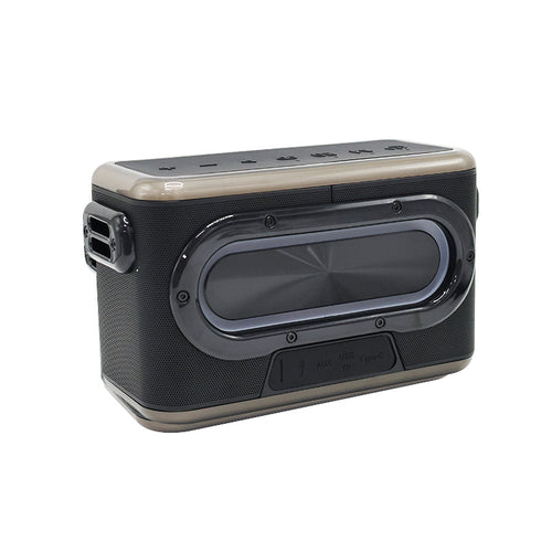 Valore Karaoke Wireless Speaker with Microphone (SP-010)