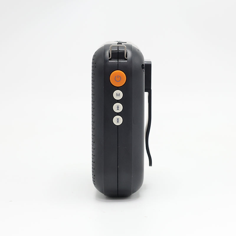 Valore Wireless Speaker (SP-011)