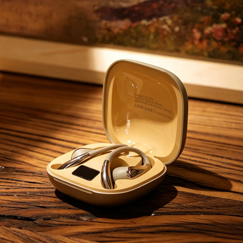 Valore True Wireless Smart Earbuds (EA-021)