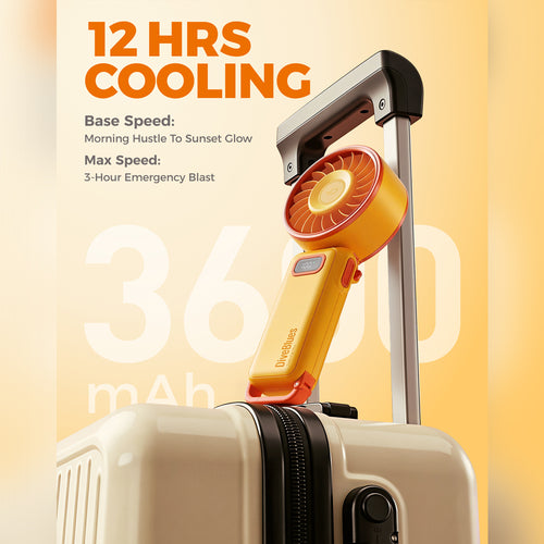 DiveBlues D6036-12PACK#2 Fanzy Handheld Fan Orange