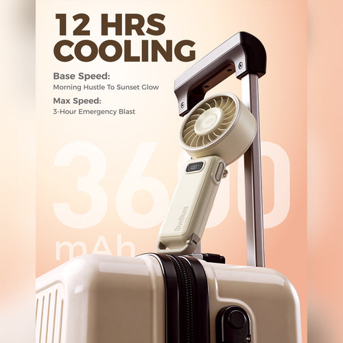 DiveBlues D6036-12PACK#1 Fanzy Handheld Fan Beige