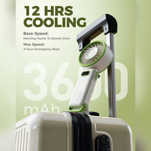 DiveBlues D6036-12PACK#2 Fanzy Handheld Fan Green