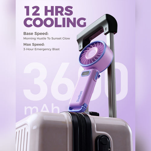 DiveBlues D6036-12PACK#2 Fanzy Handheld Fan Purple