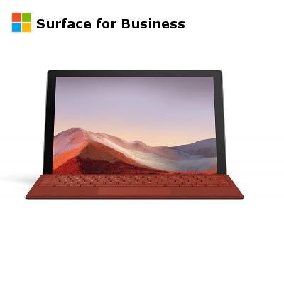 Microsoft Surface Pro 7 - i7 16GB 1TB W10 Pro (Platinum) [Surface For Business]