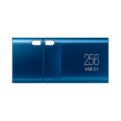 Samsung USB Type-C 256GB USB Flash Drive