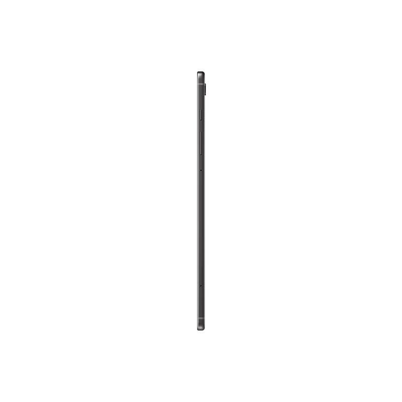 Samsung Tab S6 Lite (2024) 4+128GB Wi-Fi Gray (SM-P620NZAEXS)