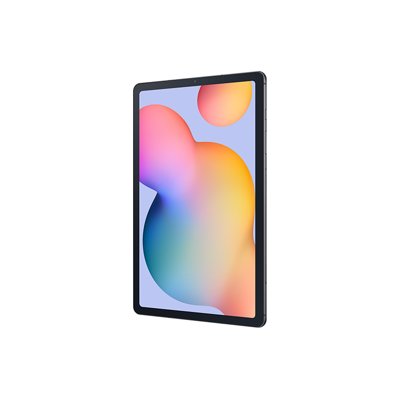 Samsung Tab S6 Lite (2024) 4+128GB Wi-Fi Gray (SM-P620NZAEXS