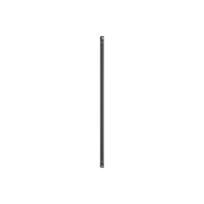 Samsung Tab S6 Lite (2024) 4+128GB Wi-Fi Gray (SM-P620NZAEXS)