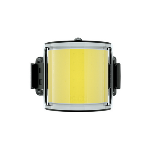 KNOG 12186 Lil Cobber Front