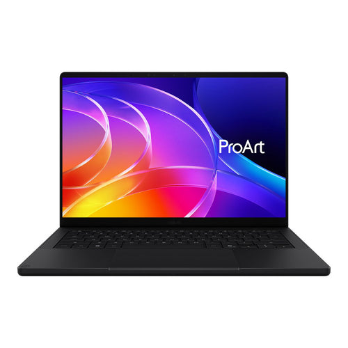 Asus ProArt P14 H7407BA-SU301W - N1x 24GB 1TB 14 Touch
