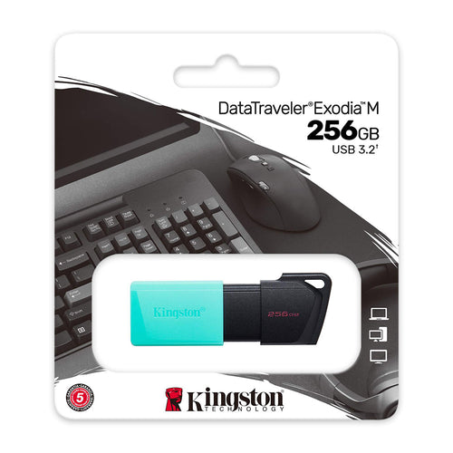 Kingston DataTraveler Exodia M 256GB USB 3.2 Flash Drive