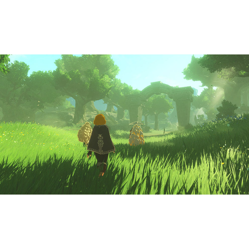 Nintendo Switch 2 - Hyrule Warriors: Age of Imprisonment