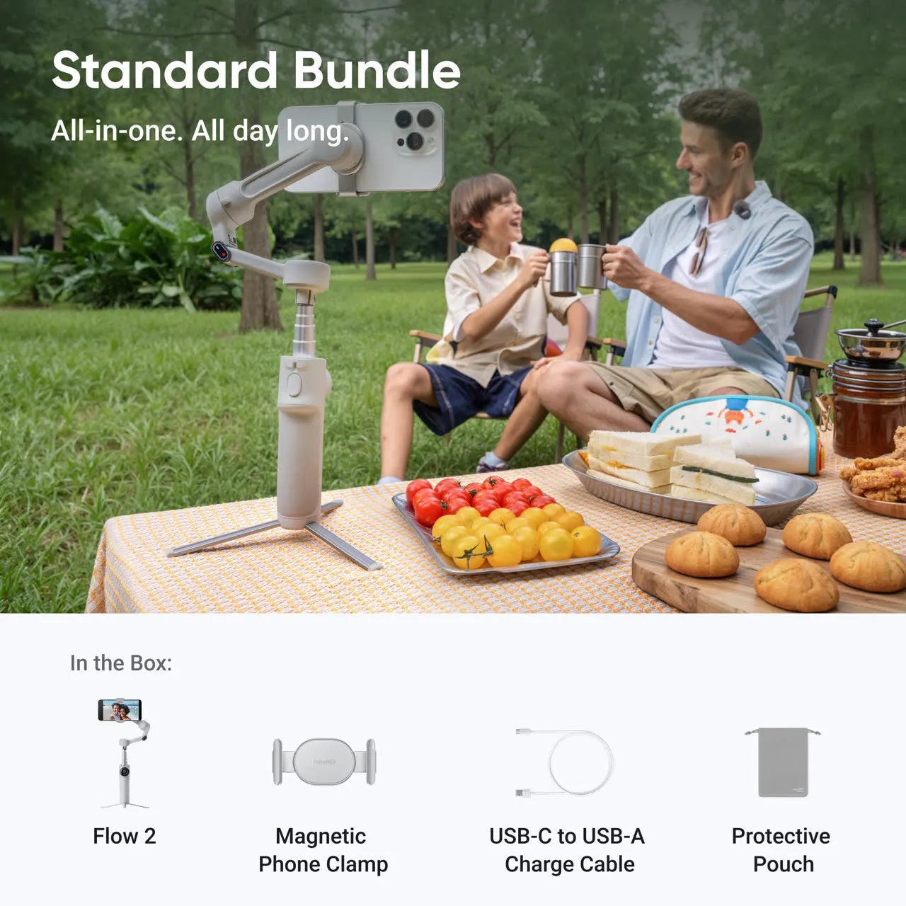 Insta360 Flow 2 Standard Bundle (Stone Gray)