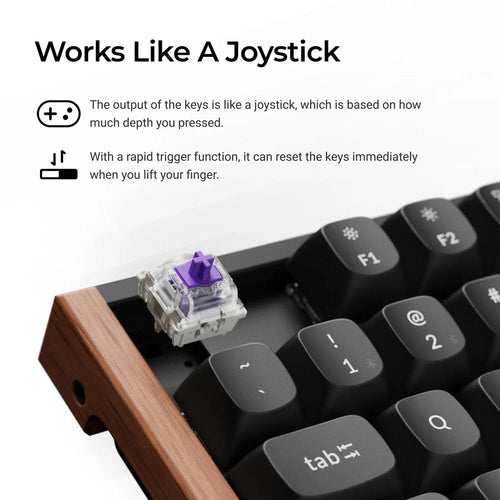 Keychron K8 HE (K8H-F1) Wireless Magnetic Switch Custom Keyboard (Special Edition Black)