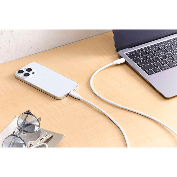 Elecom MPA-CC5PTSS10WH Thermal Protection USB C-C Cable 100W 1M