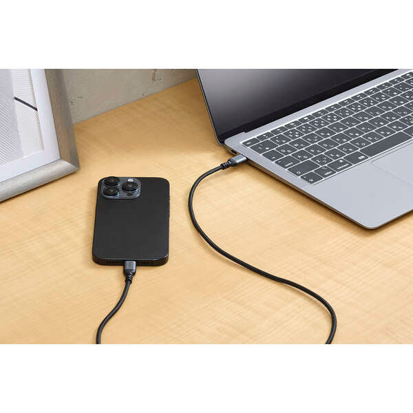 Elecom MPA-CCASAN10BK USB C-C Cable 100W 1M - Black