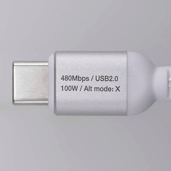 Elecom MPA-CCASAN20WH USB C-C Cable 100W 2M - White