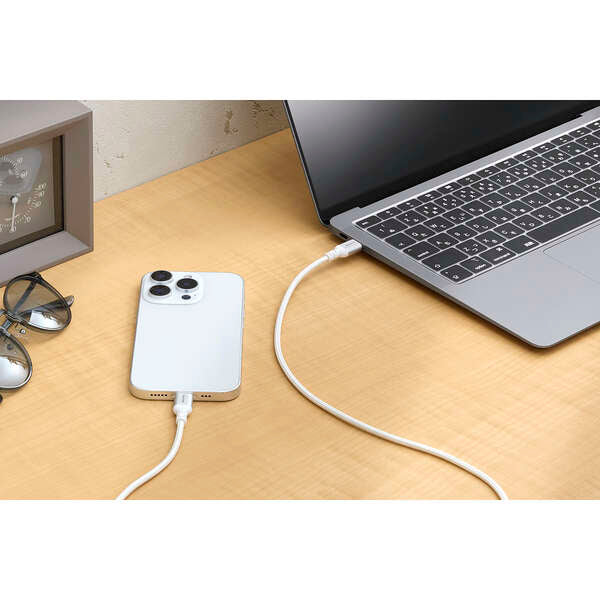 Elecom MPA-CCASAN20WH USB C-C Cable 100W 2M - White