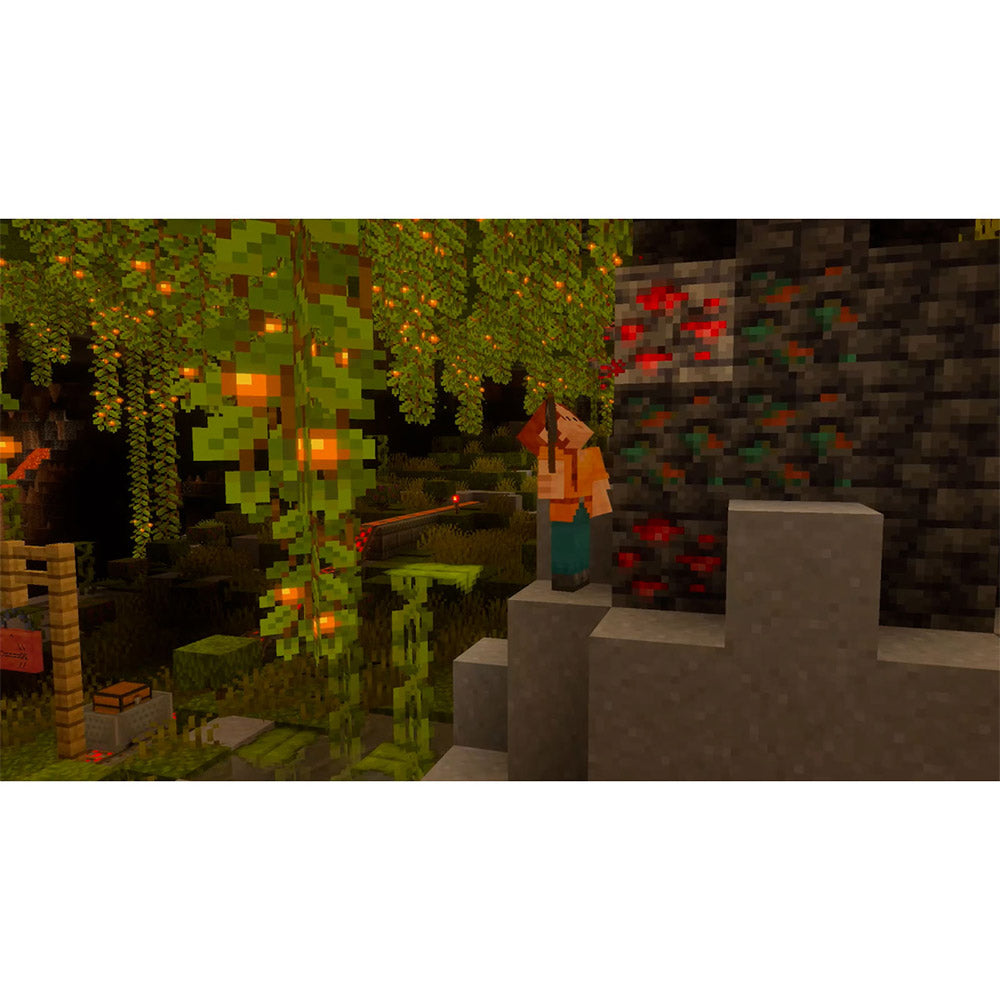 Nintendo Switch 2 - Minecraft