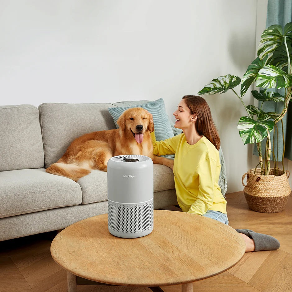Levoit LV-P350-UK Core P350 Pet Care Air Purifier