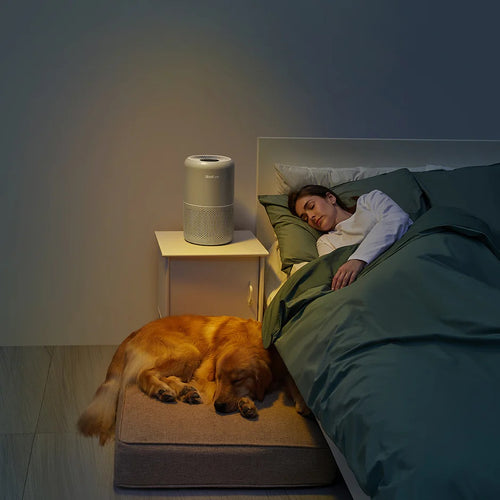 Levoit LV-P350-UK Core P350 Pet Care Air Purifier