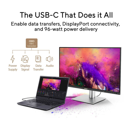 Asus ProArt PA249CGV - 24 FHD IPS Professional Monitor