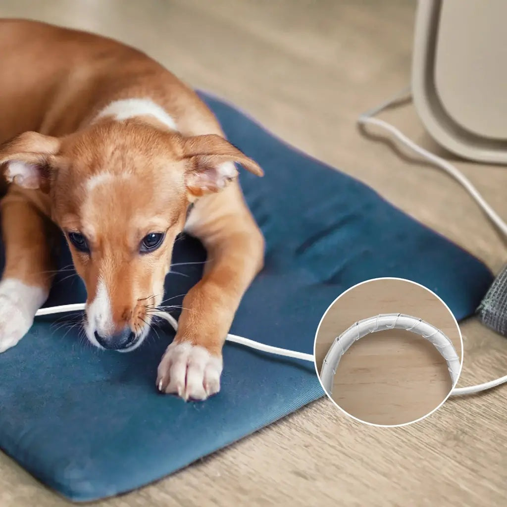 Philips AC3360/11 Pure Protect Pet Air Purifier
