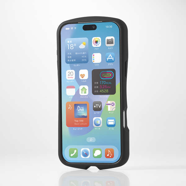 Elecom iPhone 18 Pro Max GRIPPY Hybrid Case MAGKEEP - Black