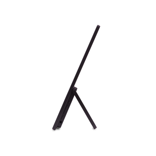 Acer PM161W b - 16 WUXGA LED - Portable (3 Years)