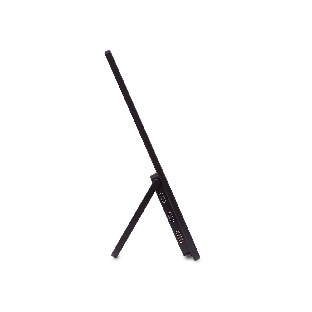 Acer PM161W b - 16 WUXGA LED - Portable (3 Years)