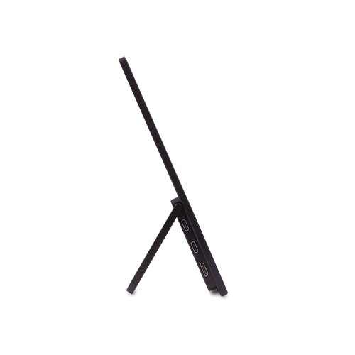 Acer PM161W b - 16 WUXGA LED - Portable (3 Years)